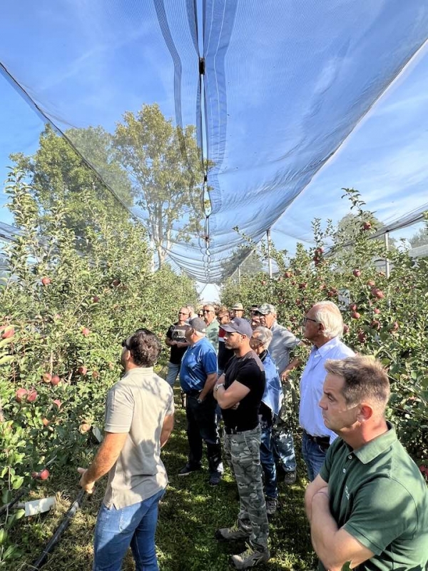 Fuji Protagonista in Fondazione per l’Agricoltura F.lli Navarra